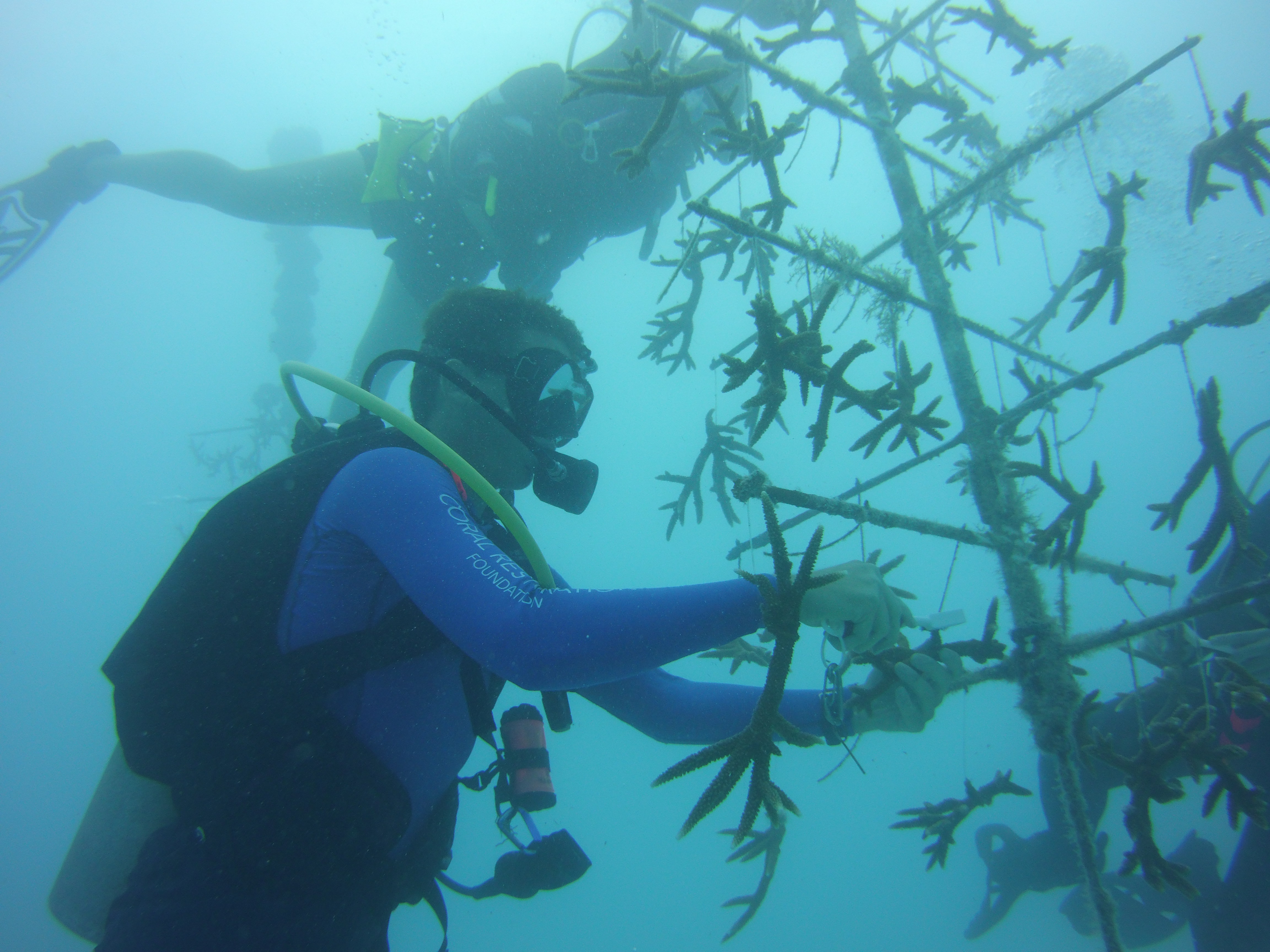 Island Ventures SCUBA Diving Tours