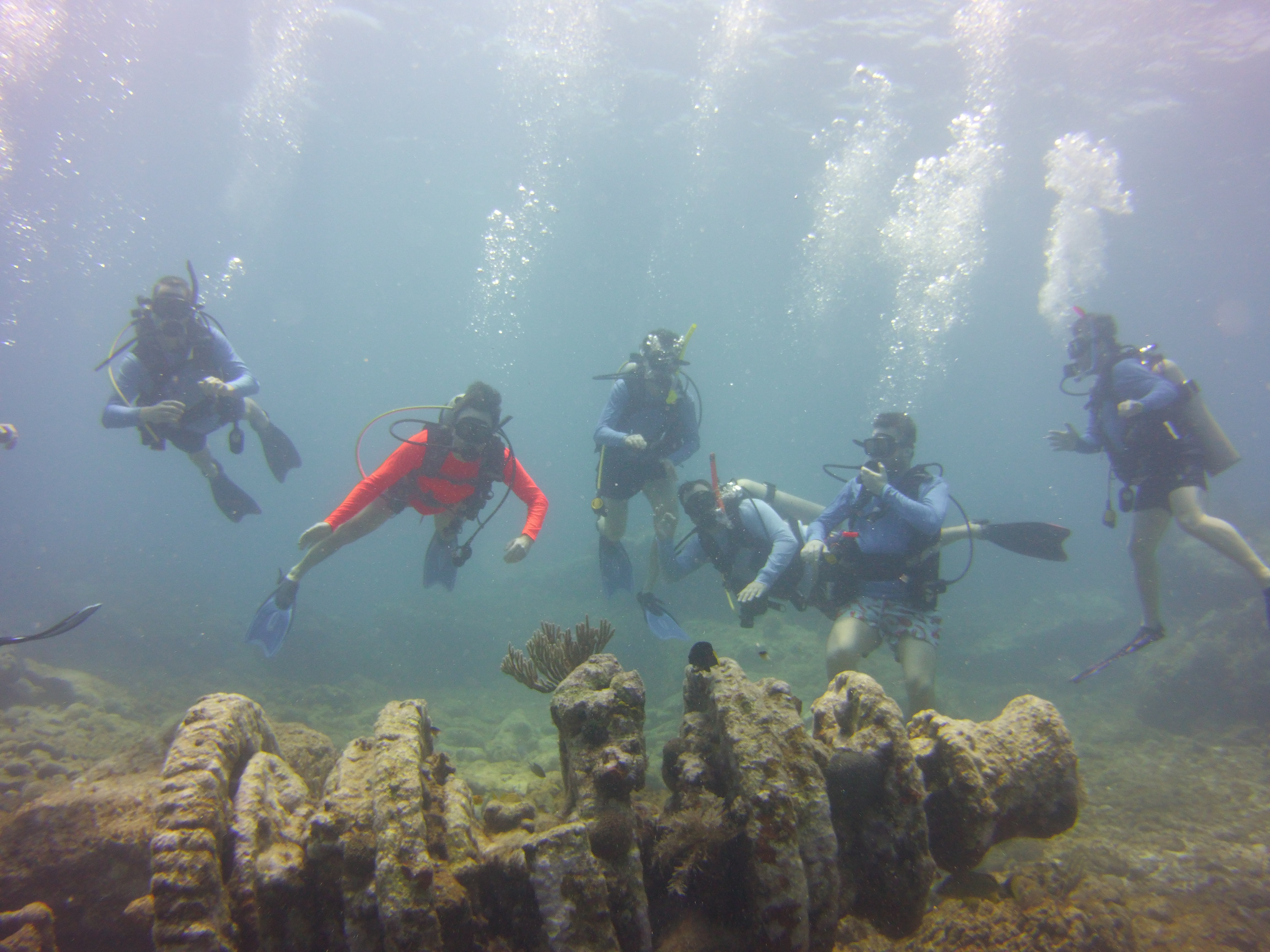 SCUBA divers at molasses reef winch hole