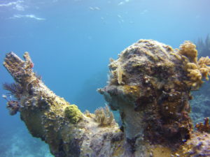 Headshot of the Christ Statue at Key Largo Dry Rocks. The picture shows a closeup of the head and right arm and hand. the statue is covered in fire coral and some other soft corals