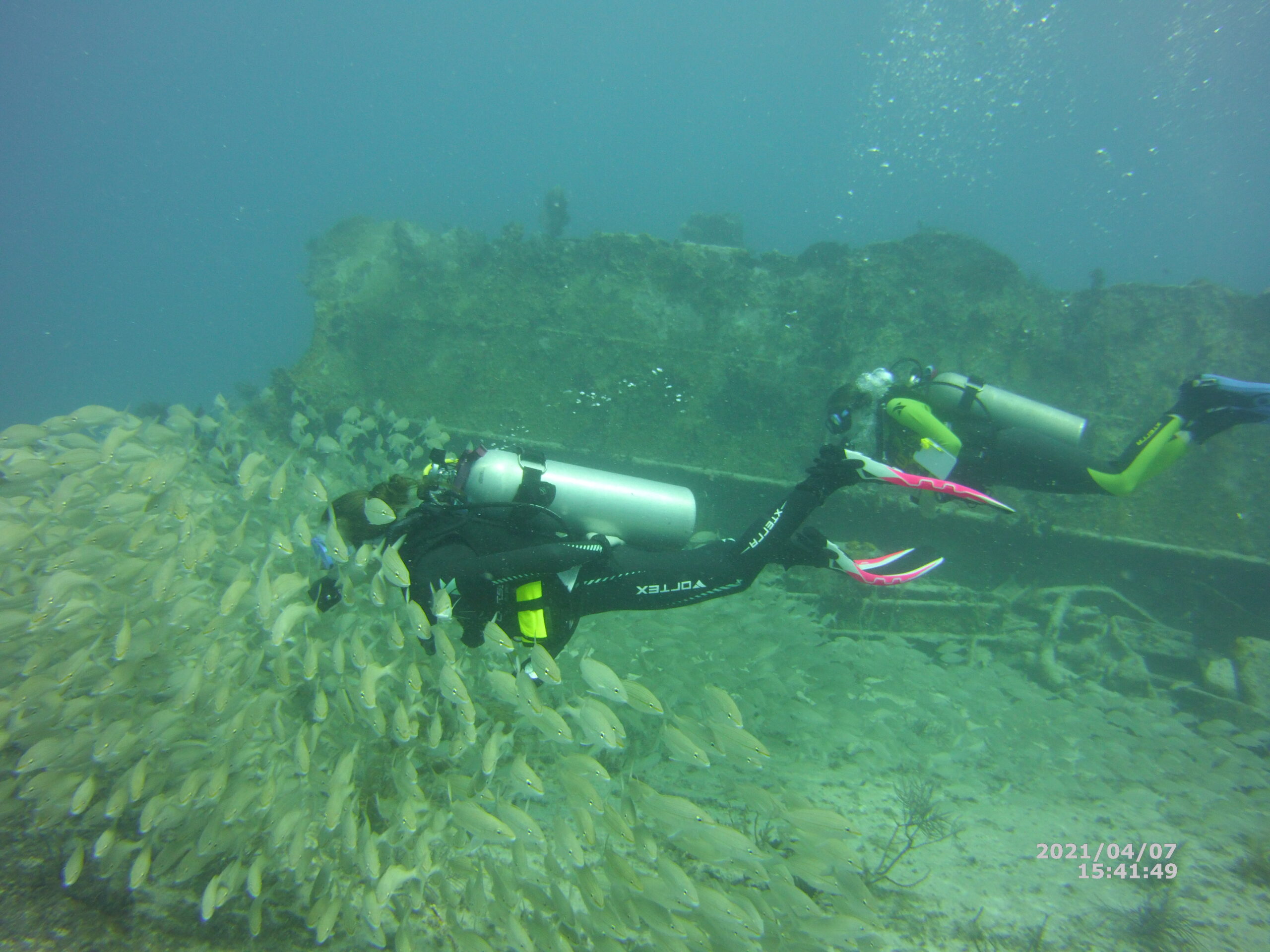 Diver watching school of fish on the wreck of the benwood underwater
