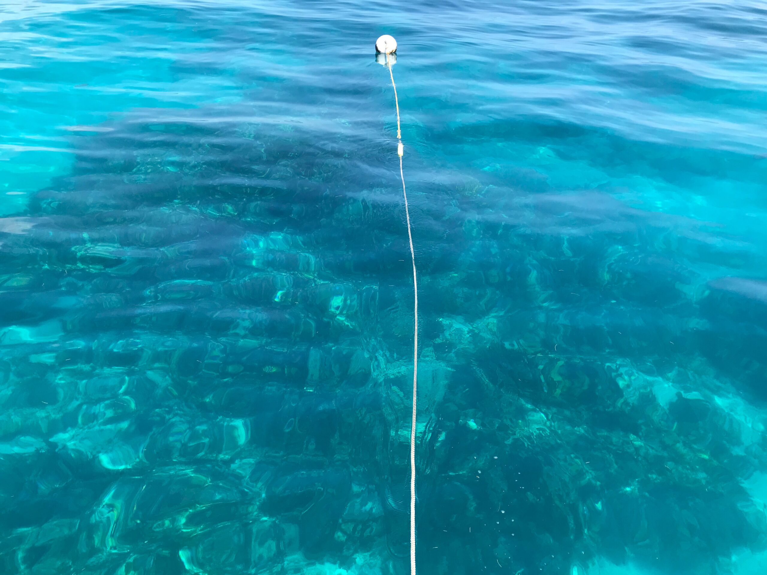 mooring at Horseshoe reef in clear water