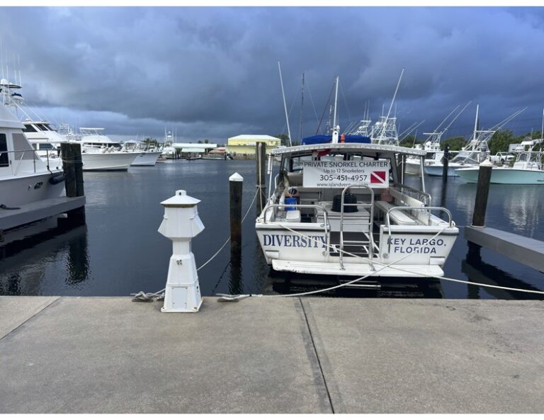 Island Ventures location Island Ventures