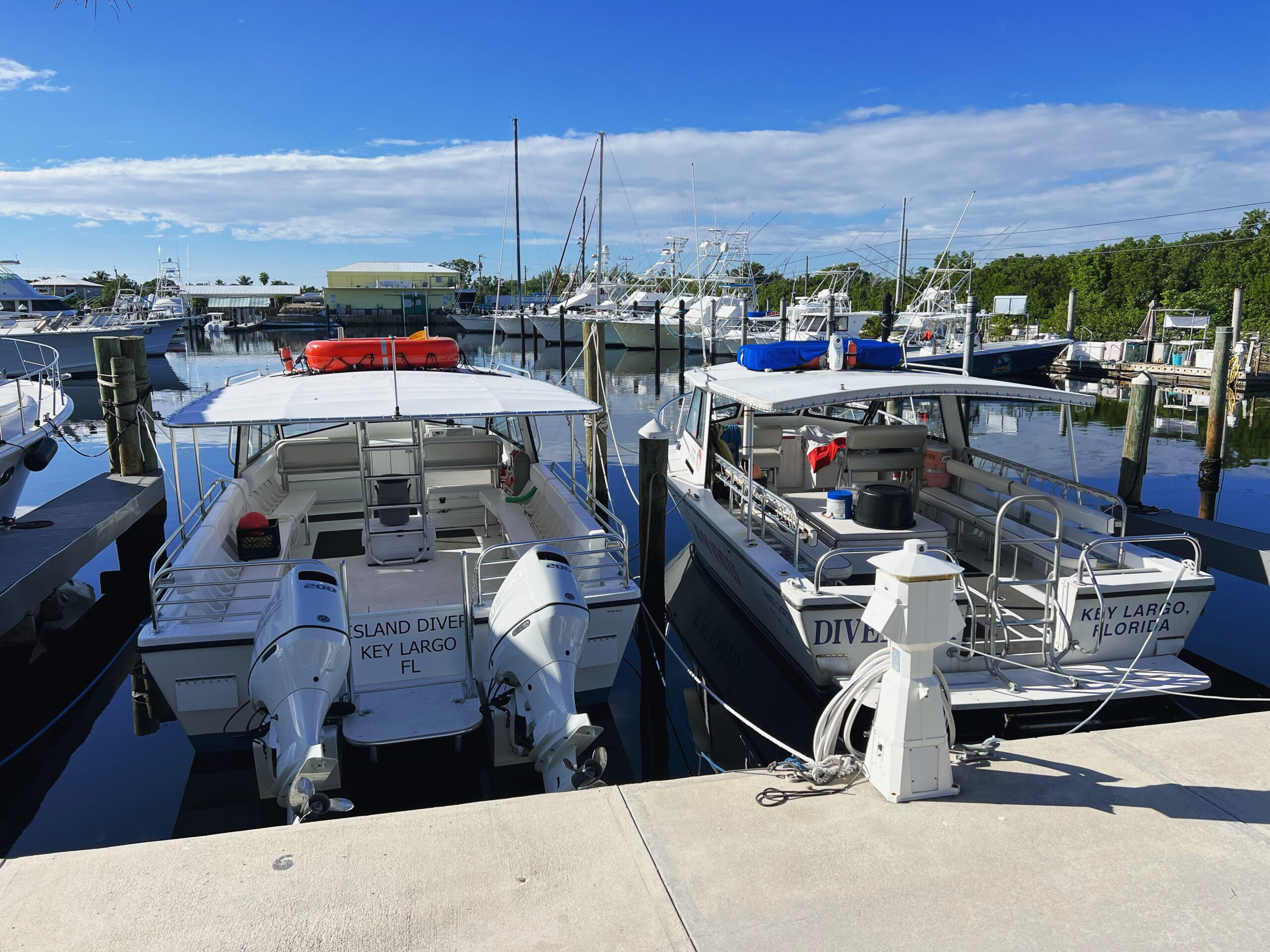 Island Venture boats at the dock in the Pilot House Marina in Key Largo
