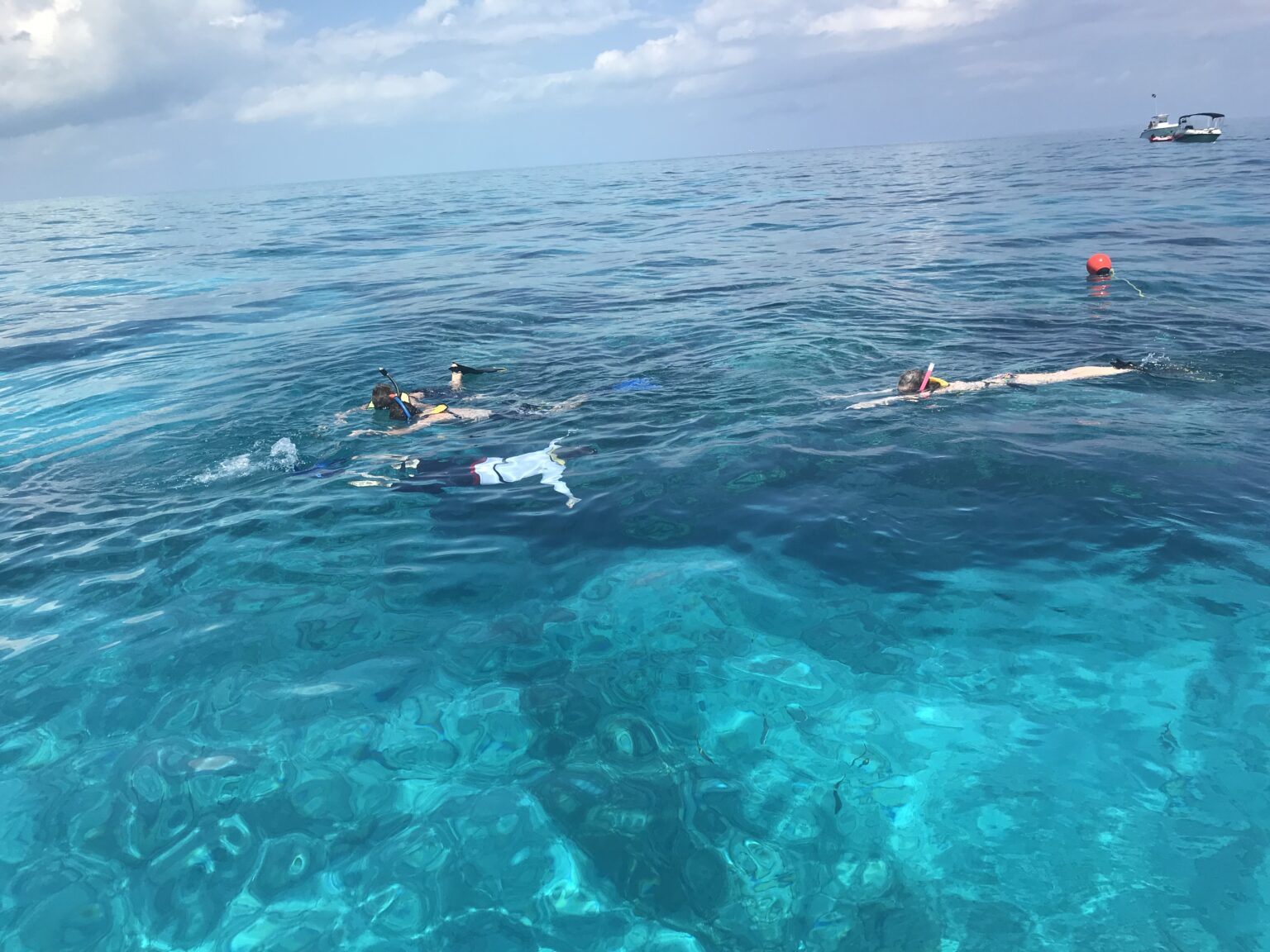 The Ultimate Guide to Amazing Snorkeling in Key Largo Discover the