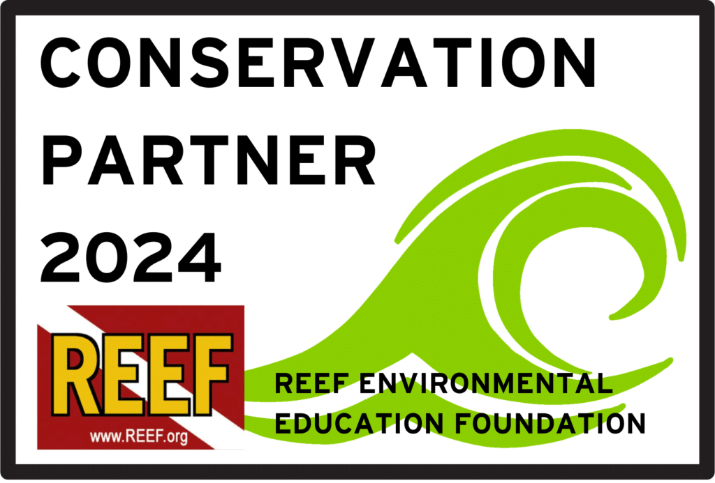 REEF Conservation Partner sticker 2024. Awarded to dive shops for conservation work